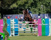 LaPeyre Colly Boy Giovanili2013 S5 5697 : Arezzo Equestrian Centre, Colly Boy, LaPeyre Francesco, foto di Stefano Secchi ©. Campionati Italiani Giovanili 2013